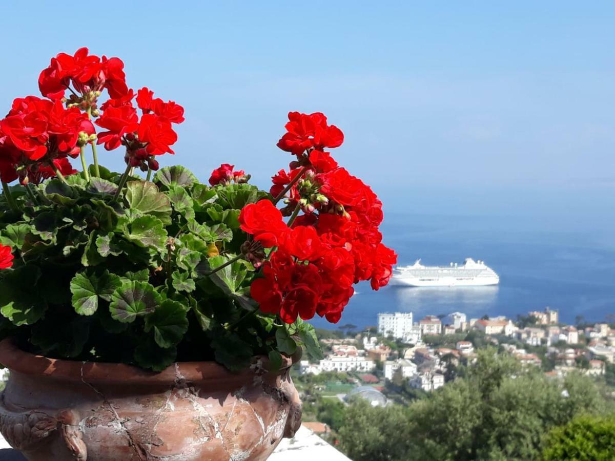 Le Muse Suite Sorrent Exterior foto